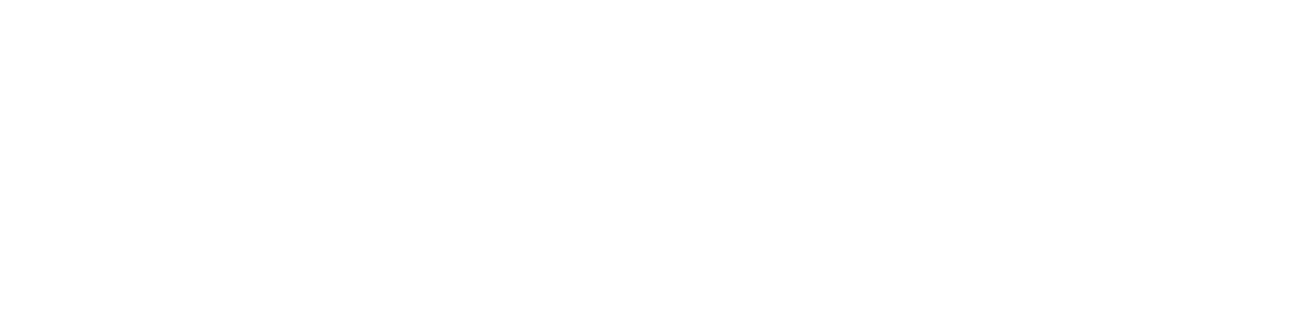 praxisarchitekten logo weiss rgb2